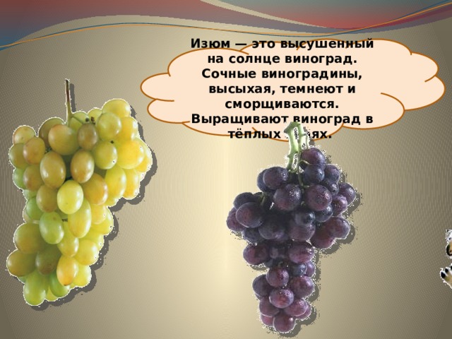 Изюм — это высушенный на солнце виноград. Сочные виноградины, высыхая, темнеют и сморщиваются. Выращивают виноград в тёплых краях. 