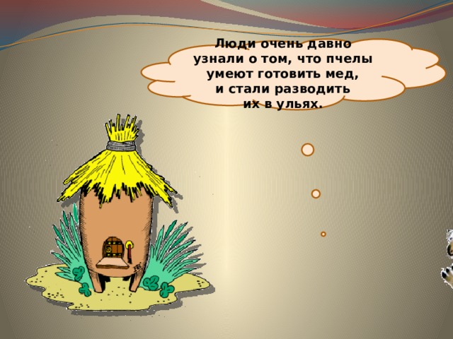 Люди очень давно узнали о том, что пчелы умеют готовить мед, и стали разводить их в ульях. 