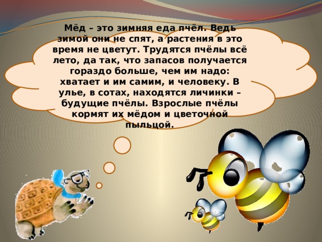 Мёд – это зимняя еда пчёл. Ведь зимой они не спят, а растения в это время не цветут. Трудятся пчёлы всё лето, да так, что запасов получается гораздо больше, чем им надо: хватает и им самим, и человеку. В улье, в сотах, находятся личинки – будущие пчёлы. Взрослые пчёлы кормят их мёдом и цветочной пыльцой. 