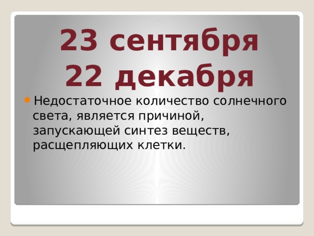 23 сентября 22 декабря Недостаточное количество солнечного света, является причиной, запускающей синтез веществ, расщепляющих клетки. 