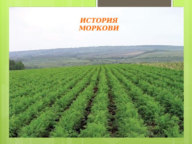 ИСТОРИЯ МОРКОВИ 