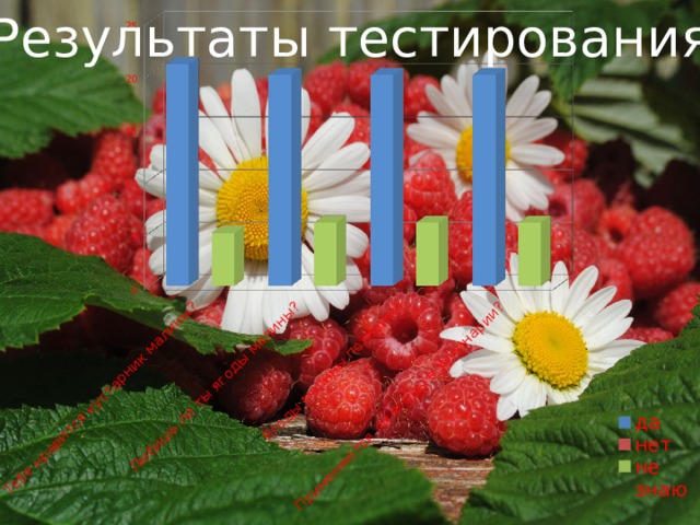 Результаты тестирования 