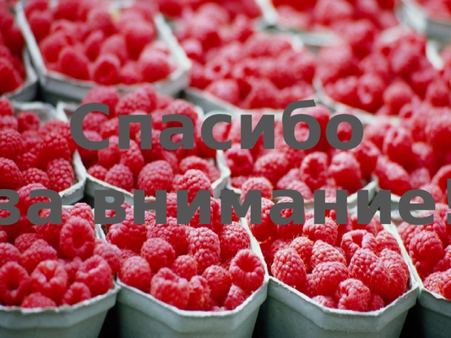 Спасибо  за внимание! 