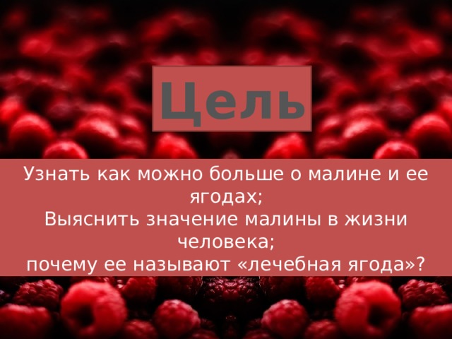 Цель Узнать как можно больше о малине и ее ягодах; Выяснить значение малины в жизни человека;  почему ее называют «лечебная ягода»? 