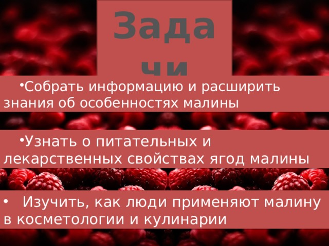 Задачи Собрать информацию и расширить знания об особенностях малины Узнать о питательных и лекарственных свойствах ягод малины  Изучить, как люди применяют малину в косметологии и кулинарии 
