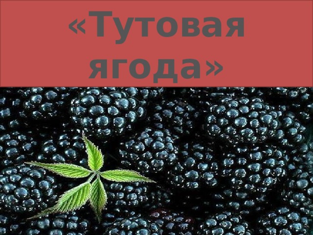 «Тутовая ягода» 