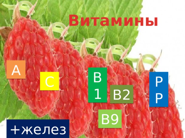 Витамины А B1 C PP B2 B9 +железо 