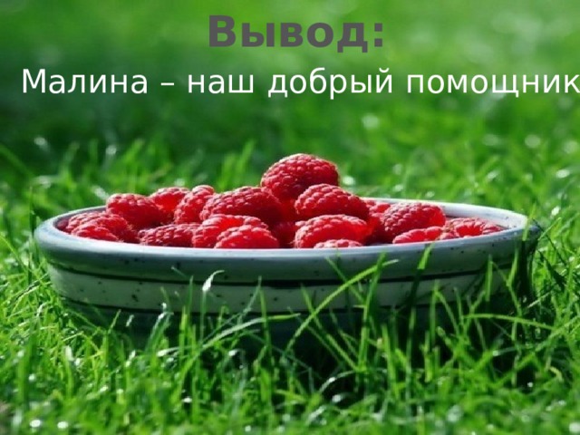 Вывод: Малина – наш добрый помощник! 