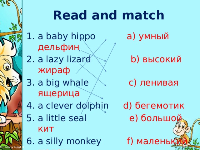 Read and match a baby hippo a) умный дельфин a lazy lizard b) высокий жираф a big whale с) ленивая ящерица a clever dolphin d) бегемотик a little seal е) большой кит a silly monkey f) маленький тюлень  a tall giraffe g) глупая обезьяна 