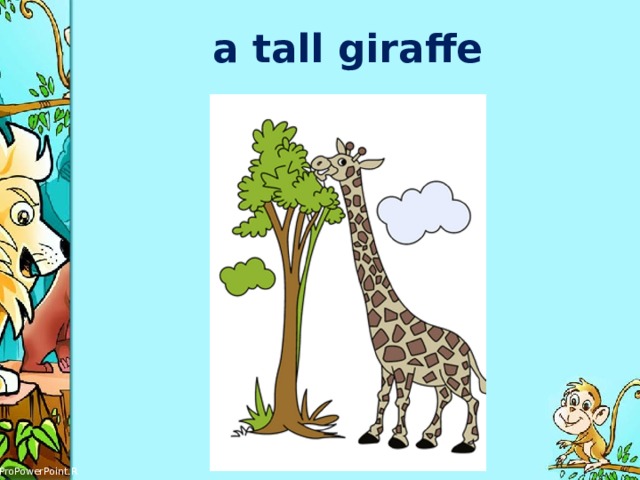 a tall giraffe 