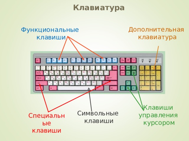 Клавиатура  Дополнительная клавиатура Функциональные  клавиши Клавиши управления  курсором Символьные  клавиши Специальные клавиши 