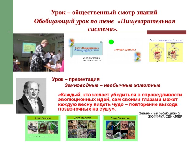 Зачем птице летать?  Конференция на тему : «Бионика»   Карточка 3  Зачем птице клюв? Зачем птице прерывать полет? 1 Жизненные формы (определенные понятия). «… Это приспособительный тип организмов с внешним сходством».  И. Шарова 2 БИО логия + тех НИКА = БИОНИКА  Бионика  – наука об оригинальных технических системах и технологических процессах (системах), созданных человеком на основе идей, найденных и заимствованных у природы. Чтобы – Чтобы – Чтобы – Чтобы – Чтобы – Чтобы – Чтобы – Чтобы – Чтобы – Чтобы – Урок – марафон Класс Птицы. Птицы наземных  и водных экосистем. До урока формируются три команды юных орнитологов по 6 человек. Они собирают сказки, приметы, загадки, пословицы, поговорки о птицах, изучают птиц родного края. Остальные ученики – болельщики. В жюри приглашаются учащиеся 9-го класса, хорошо знающие биологию.    