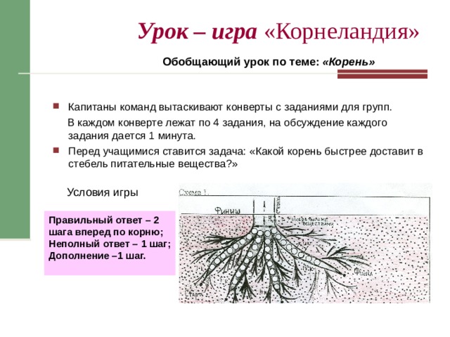 Урок – игра «Корнеландия»  Обобщающий урок по теме: «Корень»  Капитаны команд вытаскивают конверты с заданиями для групп.  В каждом конверте лежат по 4 задания, на обсуждение каждого задания дается 1 минута. Перед учащимися ставится задача: «Какой корень быстрее доставит в стебель питательные вещества?»  Условия игры Правильный ответ – 2 шага вперед по корню; Неполный ответ – 1 шаг; Дополнение –1 шаг.  