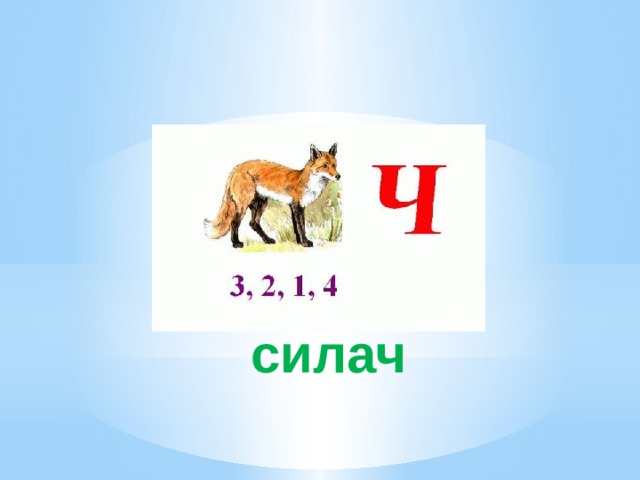силач 