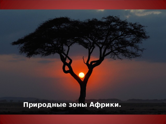 Природные зоны Африки. 