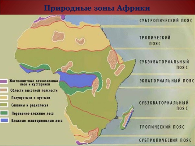 Природные зоны Африки 