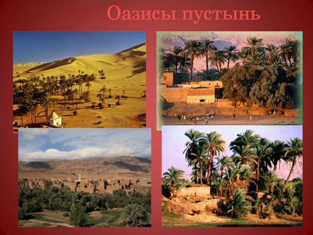 Оазисы пустынь 