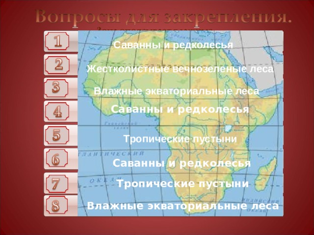 Саванны и редколесья Жестколистные вечнозеленые леса Влажные экваториальные леса Саванны и редколесья Тропические пустыни Кликните по номеру вопроса - появится ответ Саванны и редколесья Тропические пустыни Влажные экваториальные леса 36 