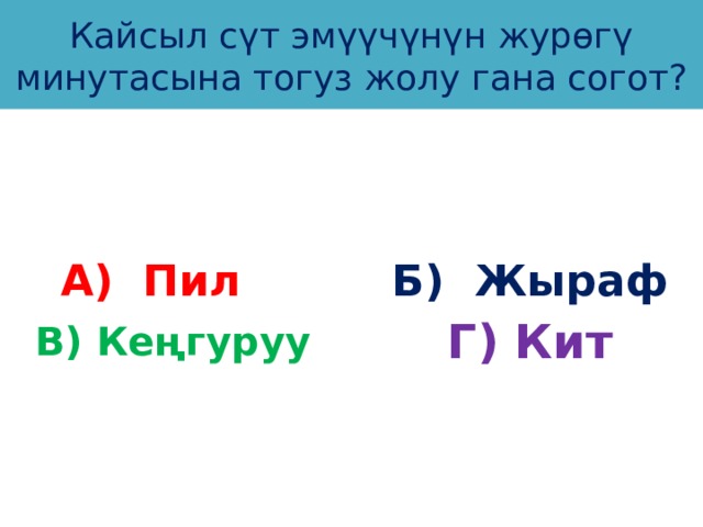 Кайсыл сүт эмүүчүнүн журөгү минутасына тогуз жолу гана согот? А) Пил Б) Жыраф Г) Кит В) Кеңгуруу 