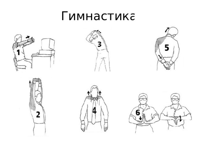 Гимнастика 