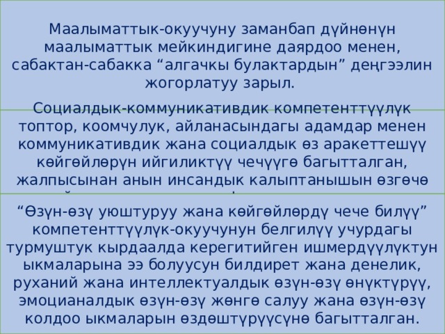 Маалыматтык-окуучуну заманбап дүйнөнүн маалыматтык мейкиндигине даярдоо менен, сабактан-сабакка “алгачкы булактардын” деңгээлин жогорлатуу зарыл. Социалдык-коммуникативдик компетенттүүлүк топтор, коомчулук, айланасындагы адамдар менен коммуникативдик жана социалдык өз аракеттешүү көйгөйлөрүн ийгиликтүү чечүүгө багытталган, жалпысынан анын инсандык калыптанышын өзгөчө мейкиндиктигин түзүү функциясын аткарат.  “ Өзүн-өзү уюштуруу жана көйгөйлөрдү чече билүү” компетенттүүлүк-окуучунун белгилүү учурдагы турмуштук кырдаалда керегитийген ишмердүүлүктун ыкмаларына ээ болуусун билдирет жана денелик, руханий жана интеллектуалдык өзүн-өзү өнүктүрүү, эмоцианалдык өзүн-өзү жөнгө салуу жана өзүн-өзү колдоо ыкмаларын өздөштүрүүсүнө багытталган. 