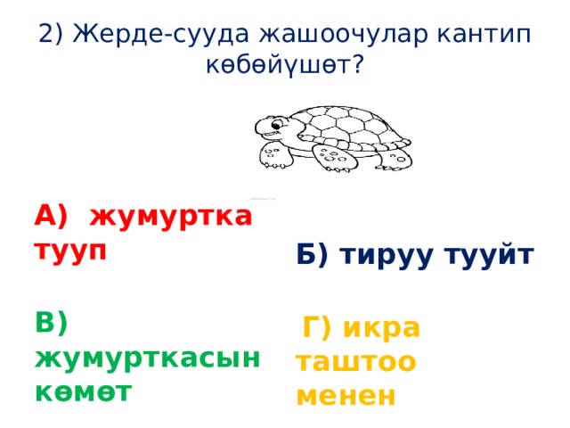 2) Жерде-сууда жашоочулар кантип көбөйүшөт?    А) жумуртка тууп Б) тируу тууйт В) жумурткасын көмөт  Г) икра таштоо менен 