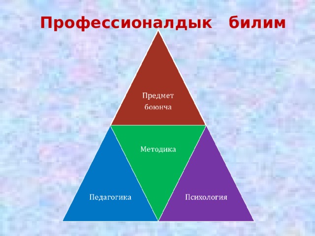 Профессионалдык билим 