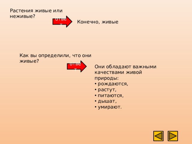 Растения живые или неживые? ответ Конечно, живые Как вы определили, что они живые? ответ Они обладают важными качествами живой природы:  рождаются,  растут,  питаются,  дышат,  умирают.    