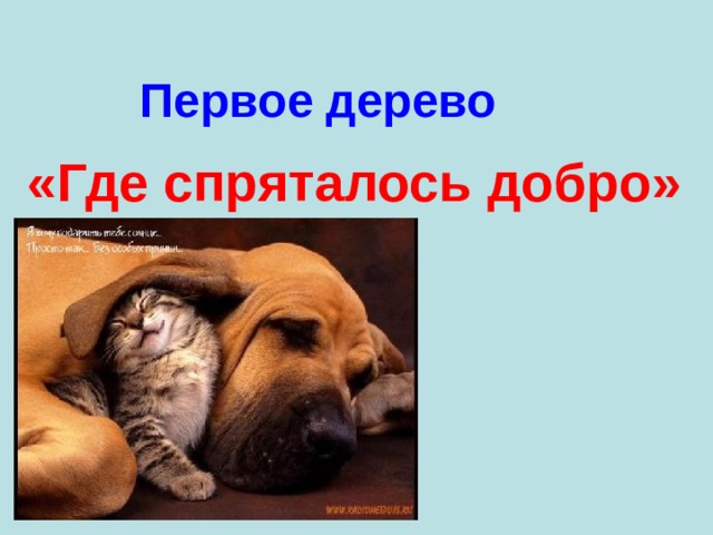  Первое дерево «Где спряталось добро»   