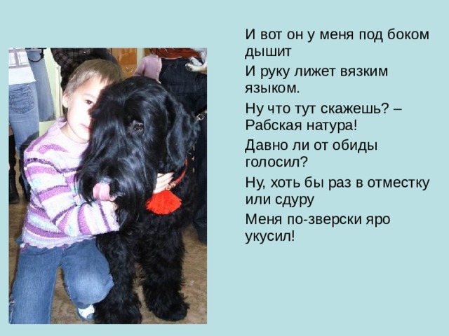 И вот он у меня под боком дышит И руку лижет вязким языком. Ну что тут скажешь? – Рабская натура! Давно ли от обиды голосил? Ну, хоть бы раз в отместку или сдуру Меня по-зверски яро укусил! 
