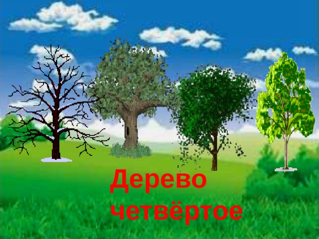 Дерево четвёртое 