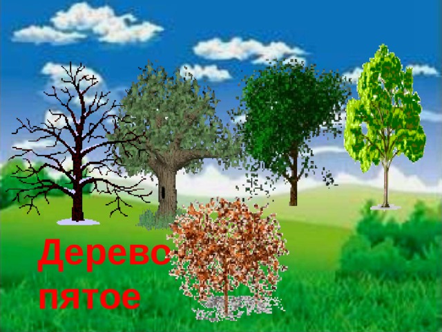 Дерево пятое 