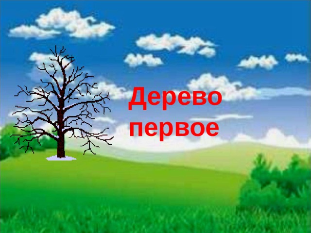 Дерево первое 
