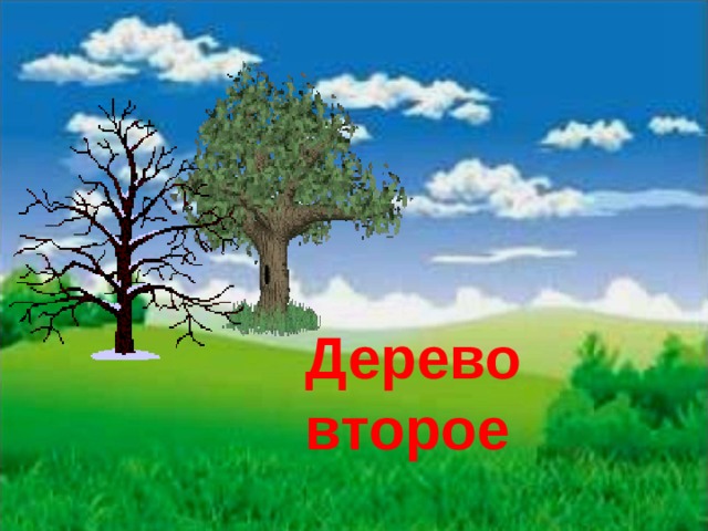 Дерево второе 