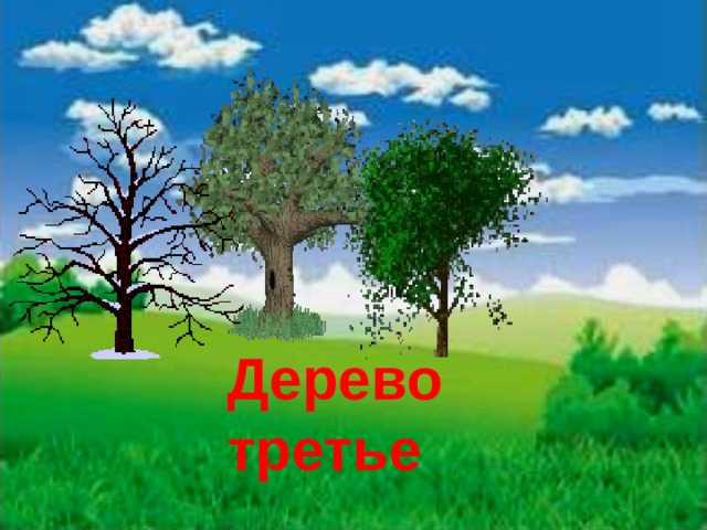 Дерево третье 