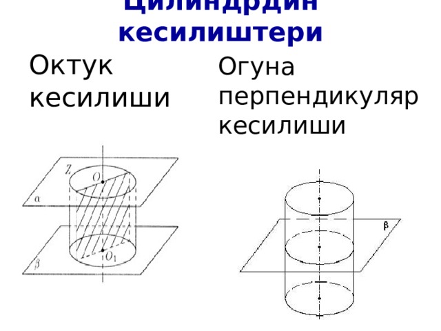 Цилиндрдин кесилиштери   Октук кесилиши Огуна перпендикуляр кесилиши 