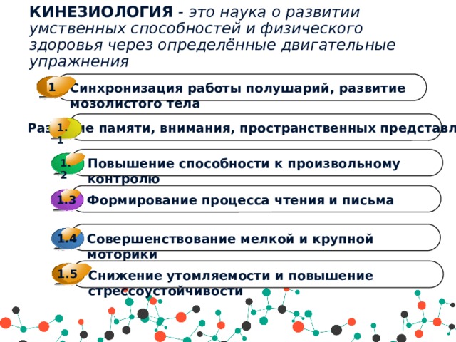 КИНЕЗИОЛОГИЯ - это наука о развитии умственных способностей и физического здоровья через определённые двигательные упражнения   1 Синхронизация работы полушарий, развитие мозолистого тела  Развитие памяти, внимания, пространственных представлений 1.1 Повышение способности к произвольному контролю 1.2 3 Формирование процесса чтения и письма 1.3 4 Совершенствование мелкой и крупной моторики 1.4 1.5 Снижение утомляемости и повышение стрессоустойчивости 