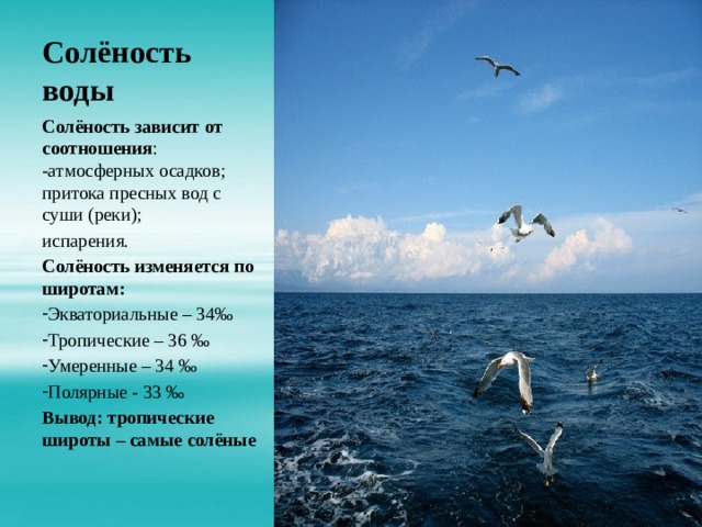 Солёность воды Солёность зависит от соотношения : -атмосферных осадков; притока пресных вод с суши (реки); испарения. Солёность изменяется по широтам: Экваториальные – 34‰ Тропические – 36 ‰ Умеренные – 34 ‰ Полярные - 33 ‰ Вывод: тропические широты – самые солёные
