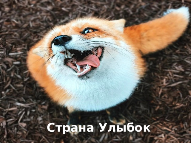 Страна Улыбок 