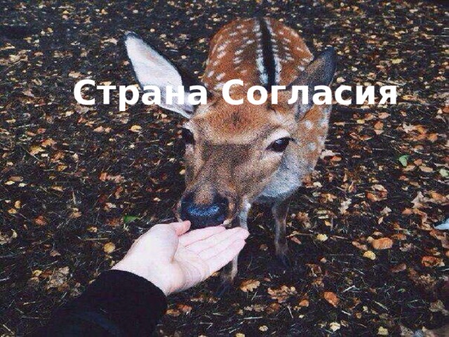 Страна Согласия 