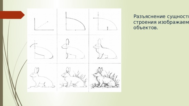 Разъяснение сущности строения изображаемых объектов. 
