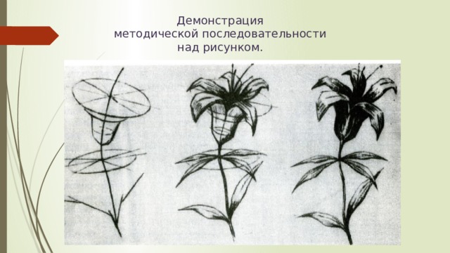 Демонстрация методической последовательности над рисунком. 