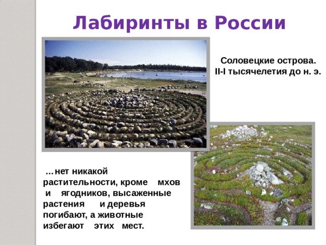 Лабиринты в России Соловецкие острова. II-I тысячелетия до н. э. … нет никакой растительности, кроме мхов и ягодников, высаженные растения и деревья погибают, а животные избегают этих мест.  