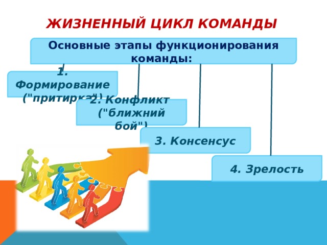 Жизненный цикл команды  Основные этапы функционирования команды:           1. Формирование (