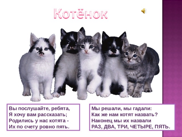 Мы решали, мы гадали:  Как же нам котят назвать?  Наконец мы их назвали РАЗ, ДВА, ТРИ, ЧЕТЫРЕ, ПЯТЬ. Вы послушайте, ребята,  Я хочу вам рассказать;  Родились у нас котята -  Их по счету ровно пять. 
