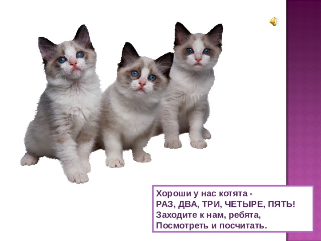 Хороши у нас котята -  РАЗ, ДВА, ТРИ, ЧЕТЫРЕ, ПЯТЬ!  Заходите к нам, ребята,  Посмотреть и посчитать. 