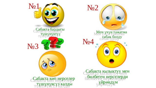 № 1 № 2 Сабакта бардыгы түшүнүктүү Мен үчүн тажатма сабак болду № 4 № 3 Сабакта кызыктуу мен билбеген нерселерди үйрөндүм Сабакта көп нерселер түшүнүксүз калды 