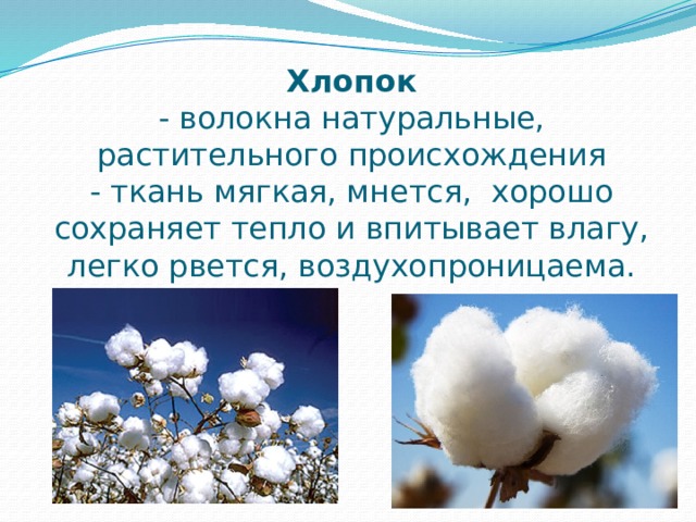 Хлопок  - волокна натуральные, растительного происхождения  - ткань мягкая, мнется, хорошо сохраняет тепло и впитывает влагу, легко рвется, воздухопроницаема.   