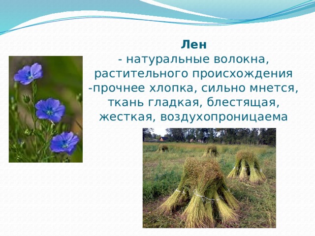 Лен  - натуральные волокна, растительного происхождения  -прочнее хлопка, сильно мнется, ткань гладкая, блестящая, жесткая, воздухопроницаема 