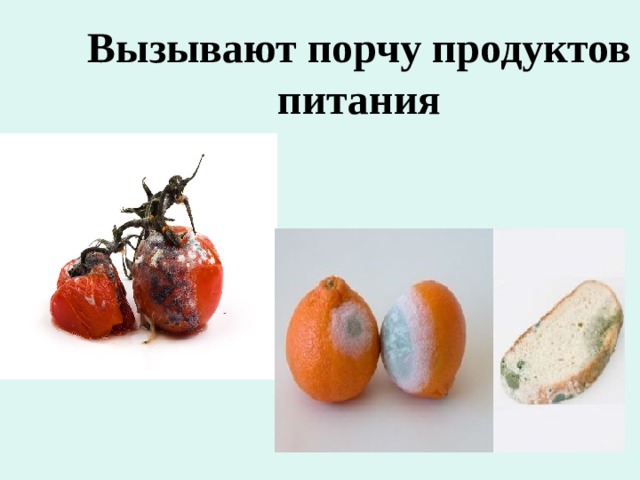 Вызывают порчу продуктов питания 